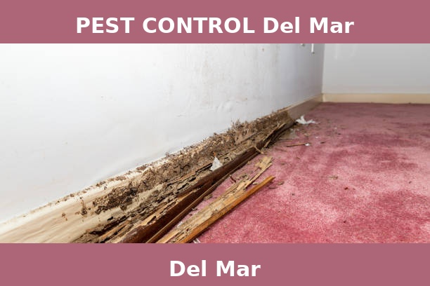 PEST CONTROL Del Mar